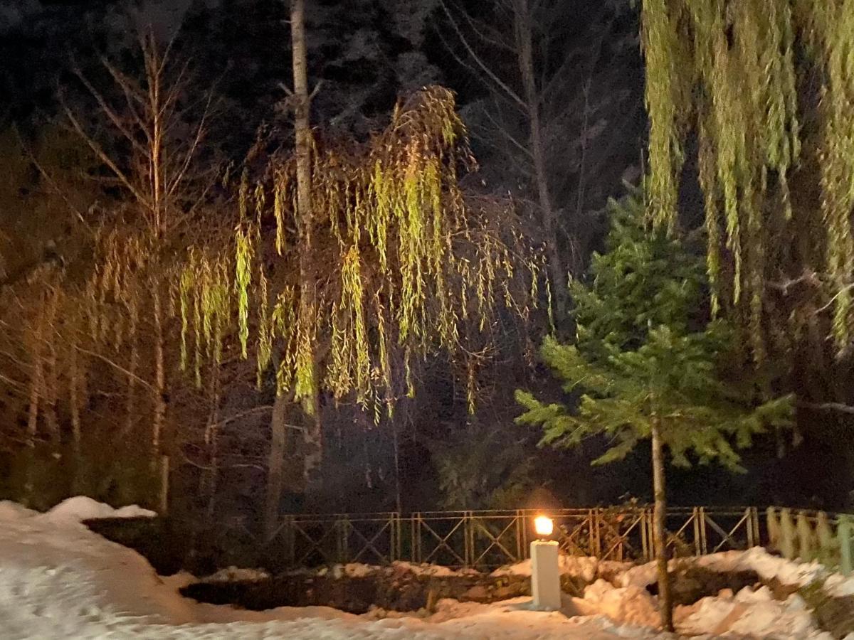 Solang Valley Resort Manāli Exteriér fotografie
