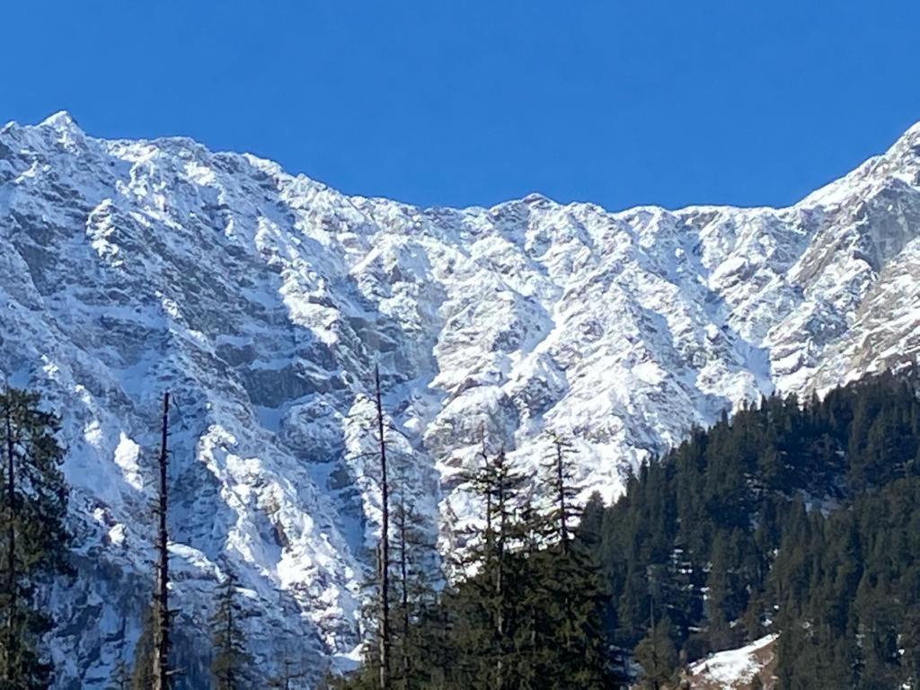 Solang Valley Resort Manāli Exteriér fotografie