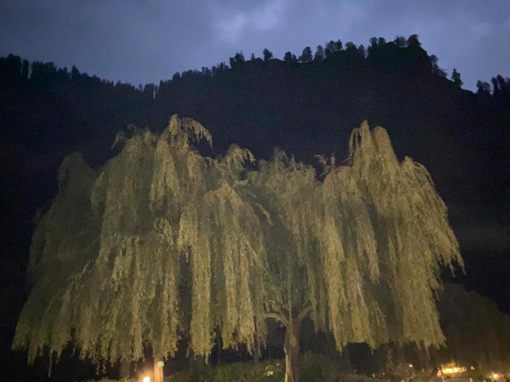 Solang Valley Resort Manāli Exteriér fotografie