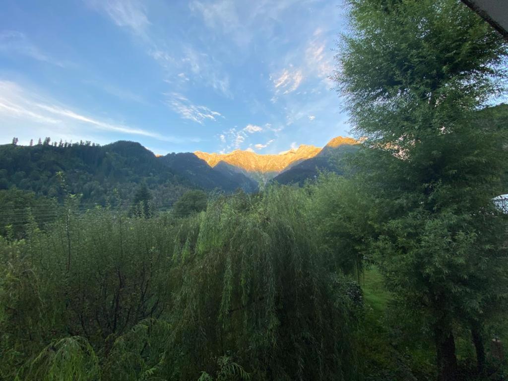 Solang Valley Resort Manāli Exteriér fotografie